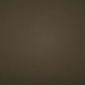 Meet your Posher, Jaimie